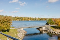 image65