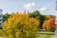 image11