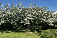 image27