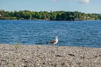 image18