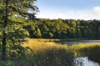 image32