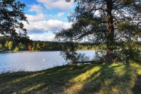 image36