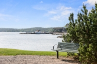 image11