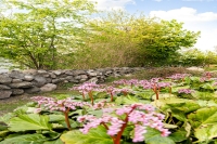 image39